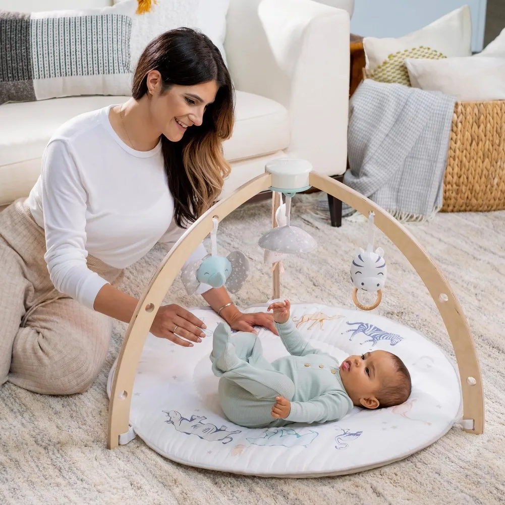 Aden   Anais Play Discover Baby Activity Gym - Rising Star