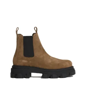 Asta Earth Suede Chelsea Boots