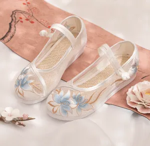 Hanfu Shoes: Dream