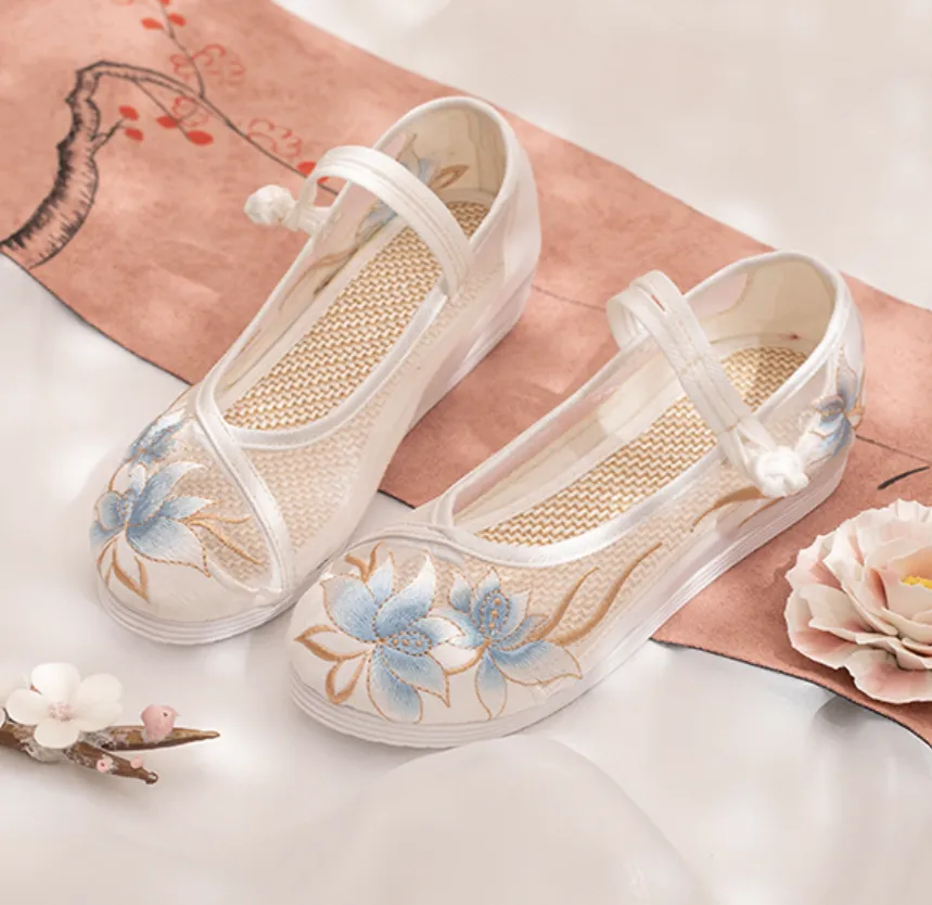 Hanfu Shoes: Dream