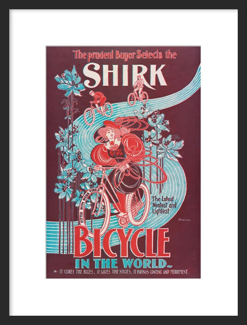 Shirk Bicycle