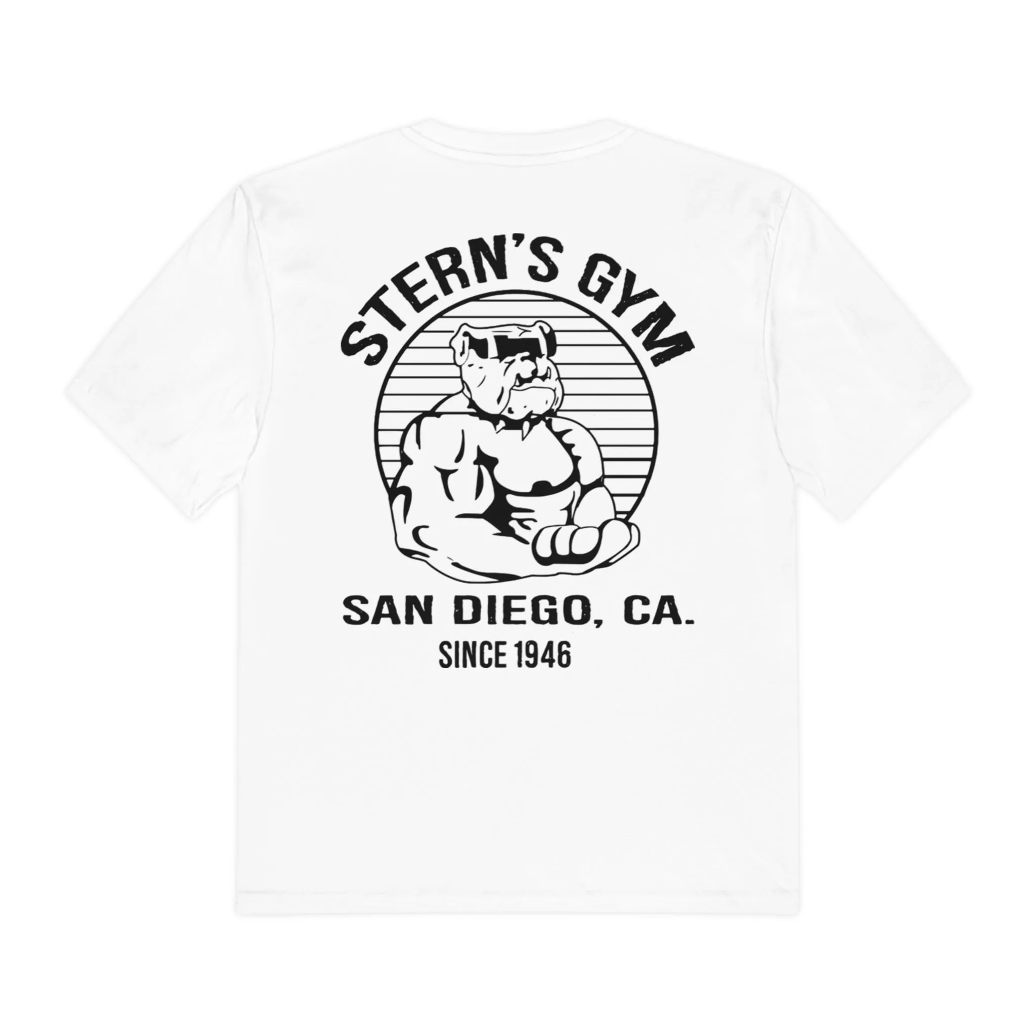 Stern's Gym Clothing Company Shirt