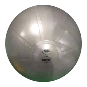 Toorx Gym Ball 65cm