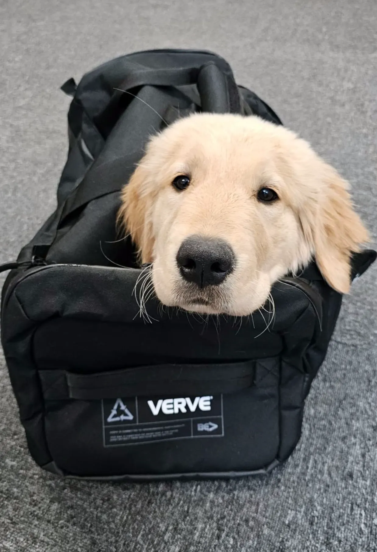 VERVE Infinity Gym Bag